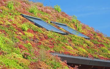 Tongwynlais living roof systems