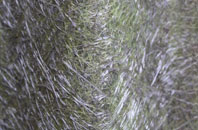 Tongwynlais fibreglass roof work